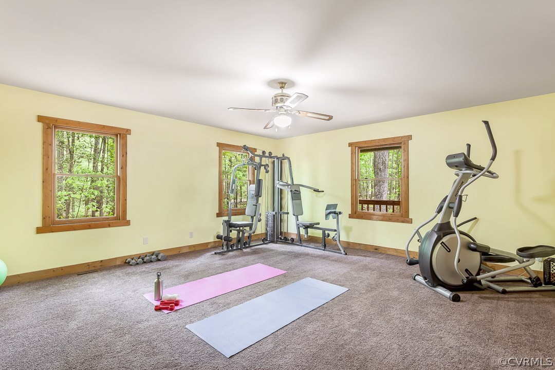 12208 Pearson-Hardy Road Church Road, VA 23833 - Photo 15 of 27 Gallery Image 15