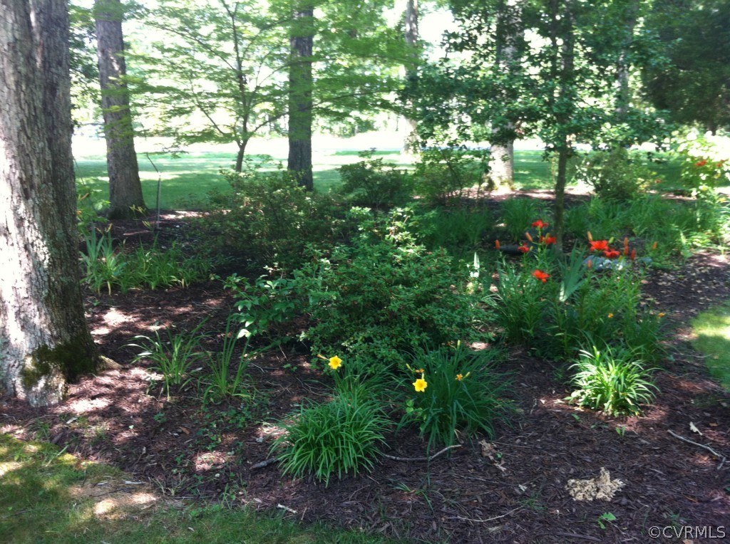1231 Coalfield Road Midlothian, VA 23114 - Photo 11 of 12 a backyard of a house with lots of green space and garden