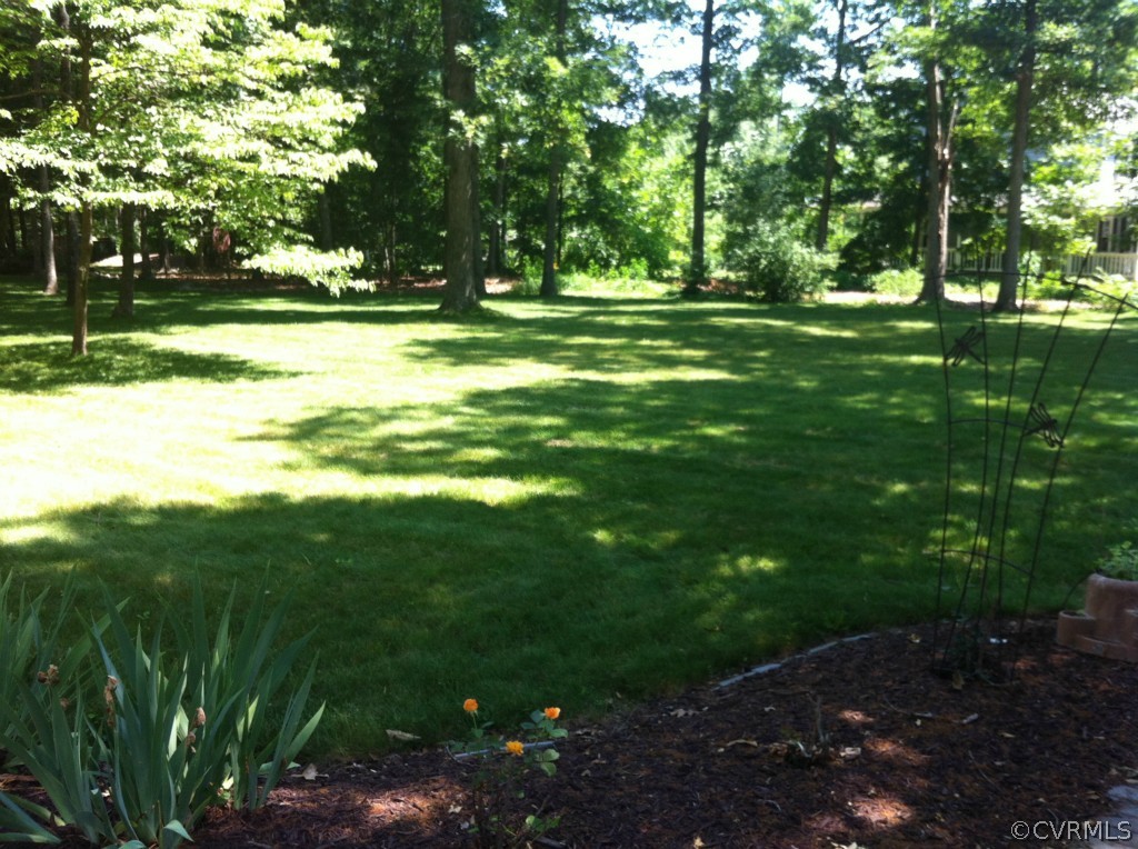 1231 Coalfield Road Midlothian, VA 23114 - Photo 12 of 12 a view of a grassy field with trees