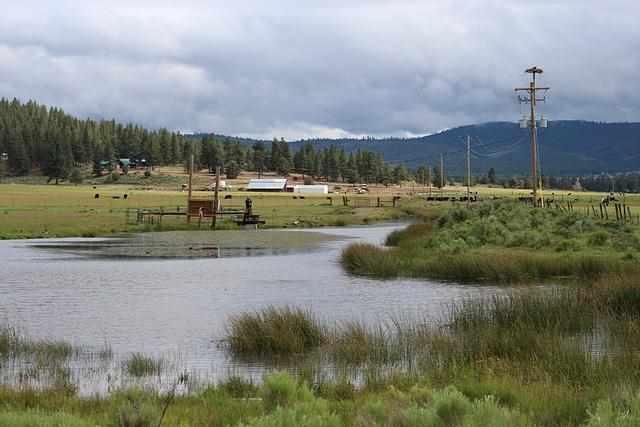 22779 Sprague River Road Chiloquin, OR 97624 - Photo 4 of 23 Additional Photo