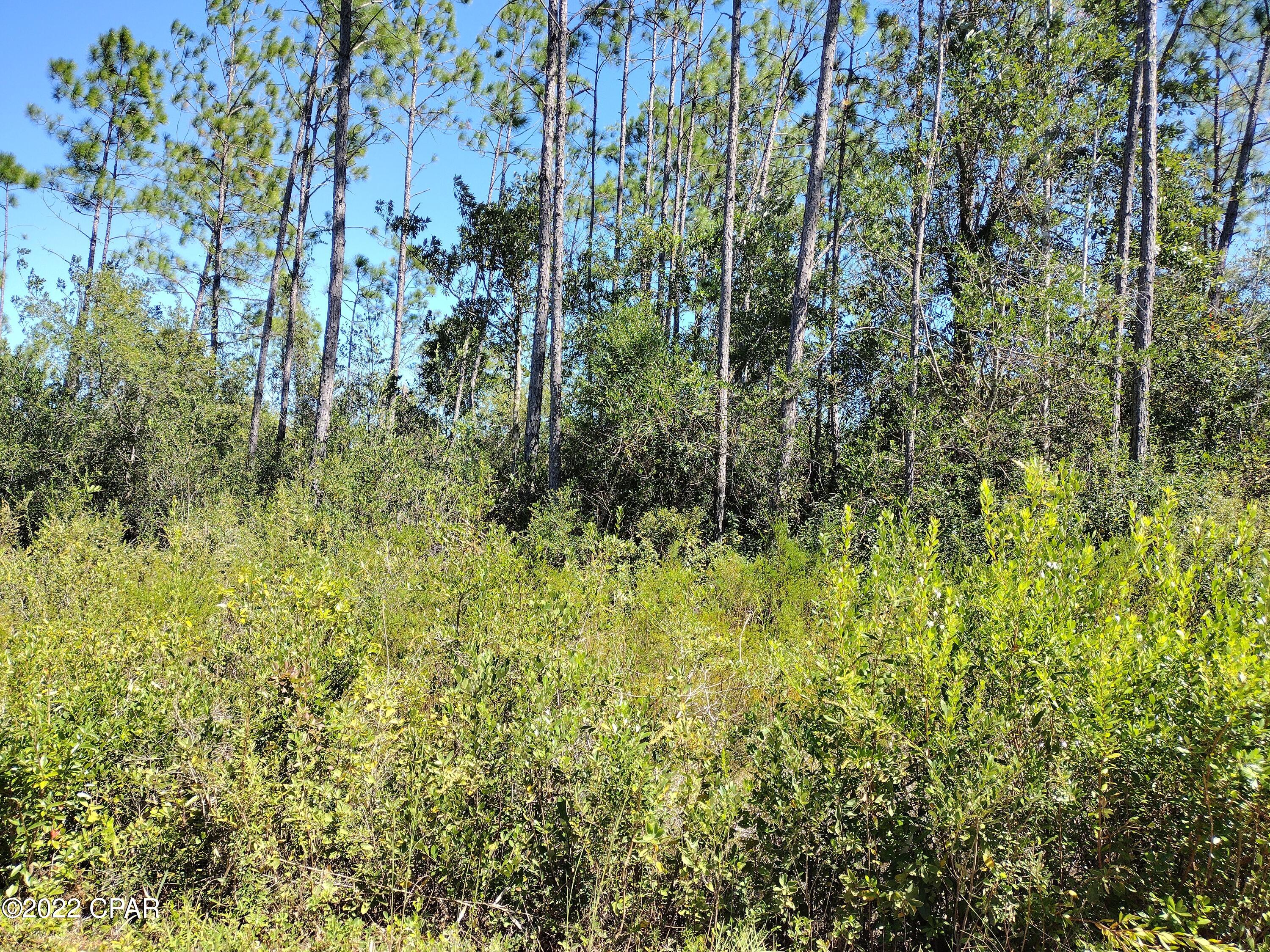 10695 Cowels Road Fountain, FL 32438 - Photo 2 of 8 Gallery Image 2