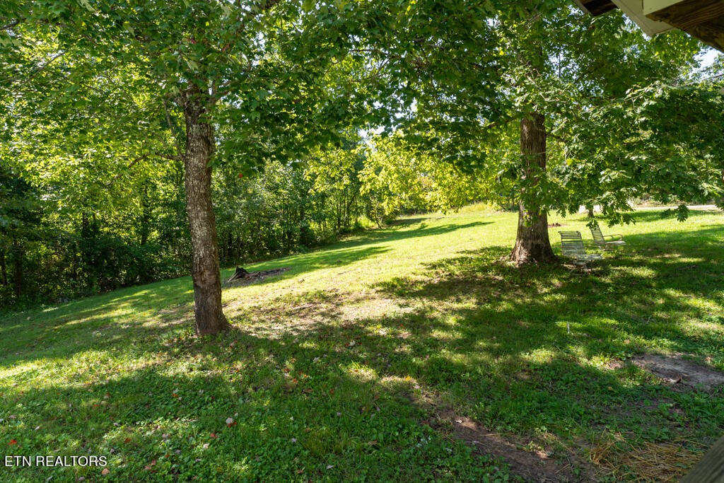 166 George Thomas Road Vonore, TN 37885 - Photo 10 of 26 Gallery Image 10