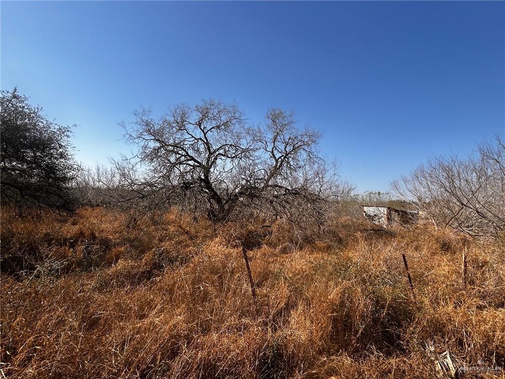 30034 Couch Street Hargill, TX 78549 - Photo 12 of 13 a view of a tree in a yard
