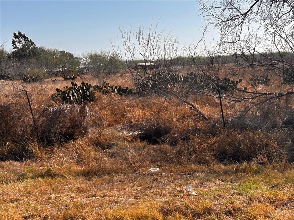 30034 Couch Street Hargill, TX 78549 - Photo 6 of 13 a view of a yard with a tree