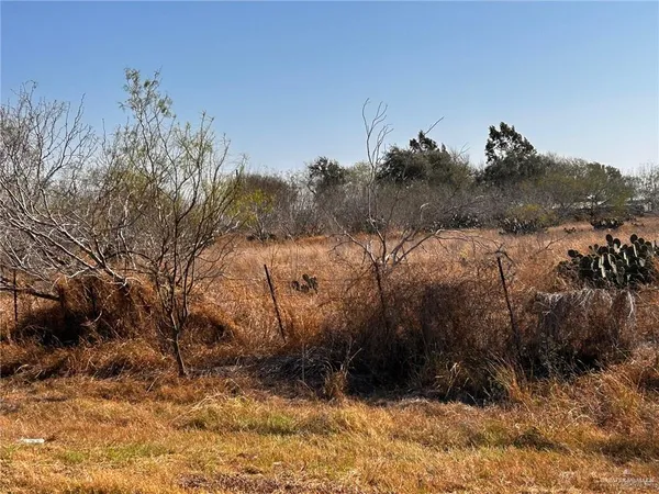 a view of a yard