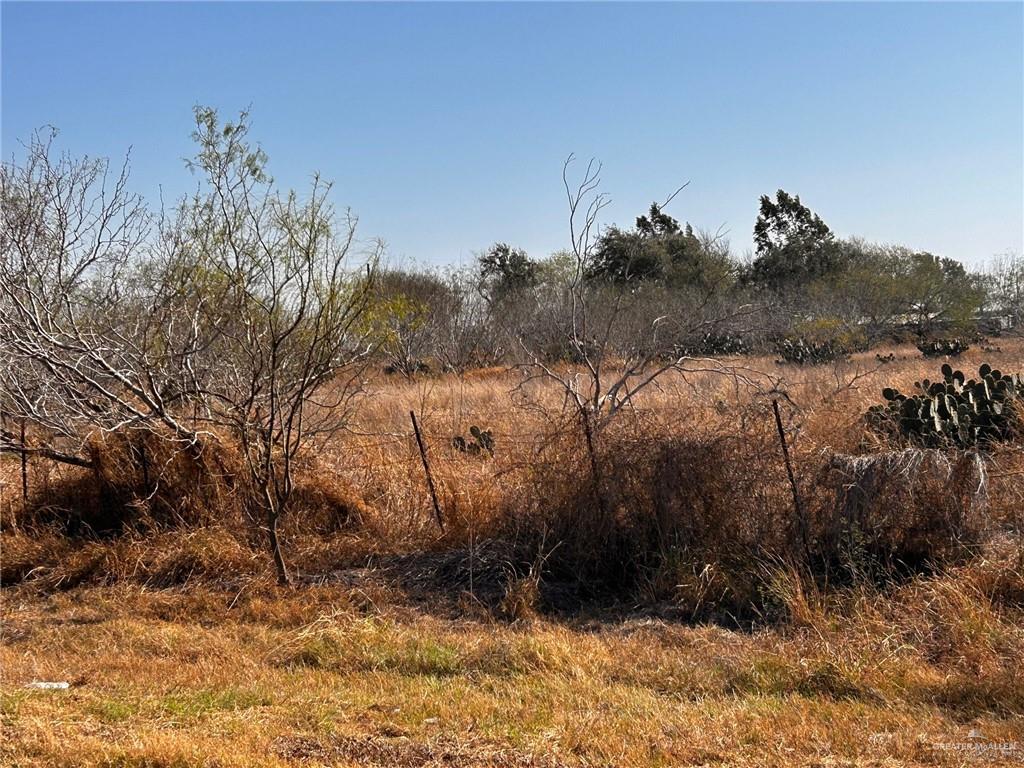 30034 Couch Street Hargill, TX 78549 - Photo 8 of 13 a view of a yard
