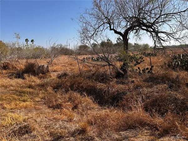 a view of a forest of a house