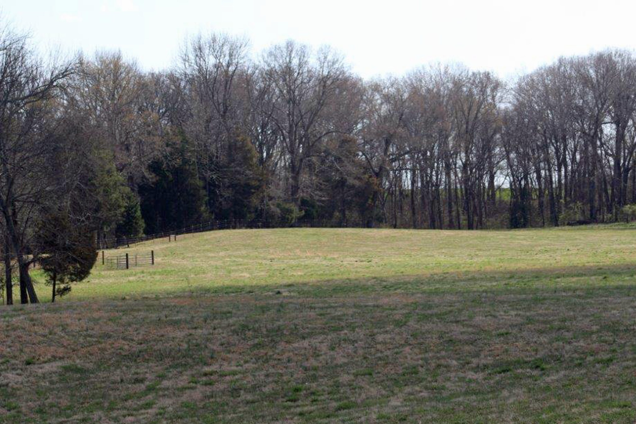 144 Mary Adams Road Franklin, KY 42134 - Photo 6 of 33 a view of a yard with a trees