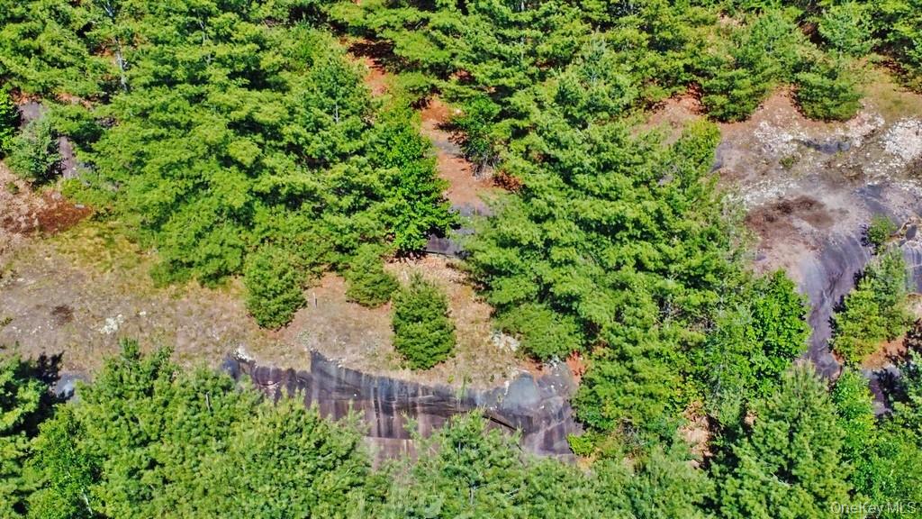 Marsh Road Fallsburg, NY 12733 - Photo 15 of 20