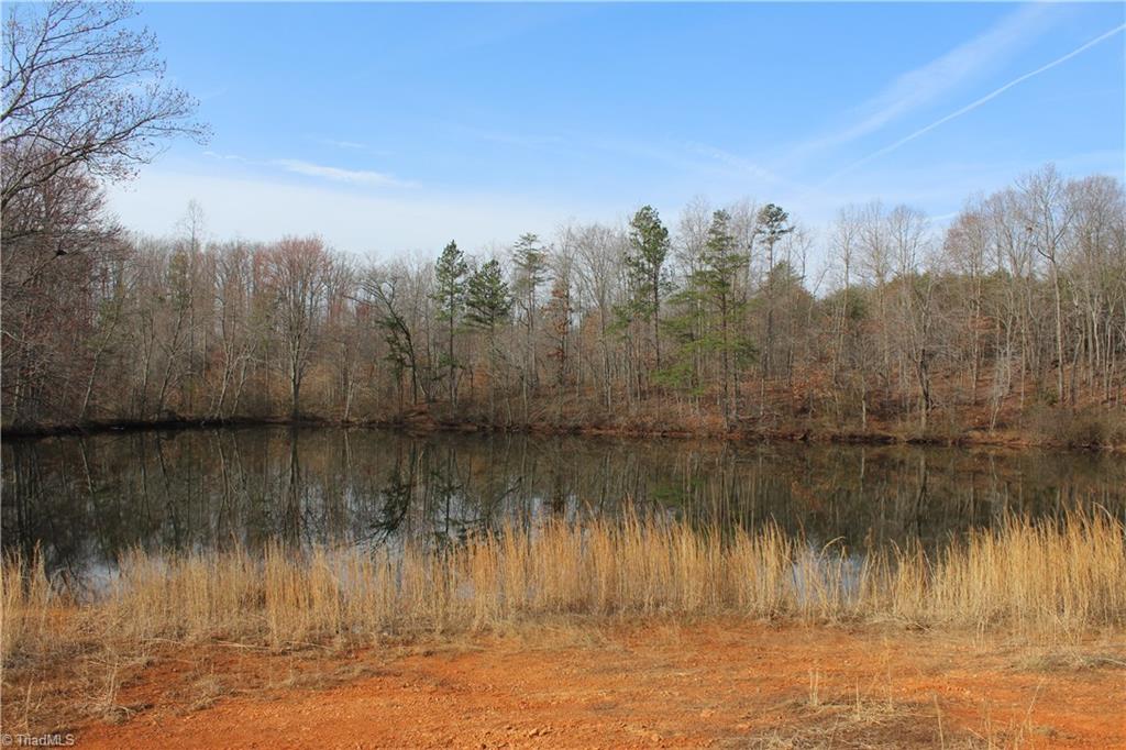 0 North Old 52 Road, Unit 16 3 Pinnacle, NC 27043 - Photo 6 of 14 Gallery Image 6