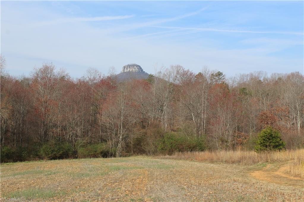 0 North Old 52 Road, Unit 16 3 Pinnacle, NC 27043 - Photo 7 of 14 Gallery Image 7