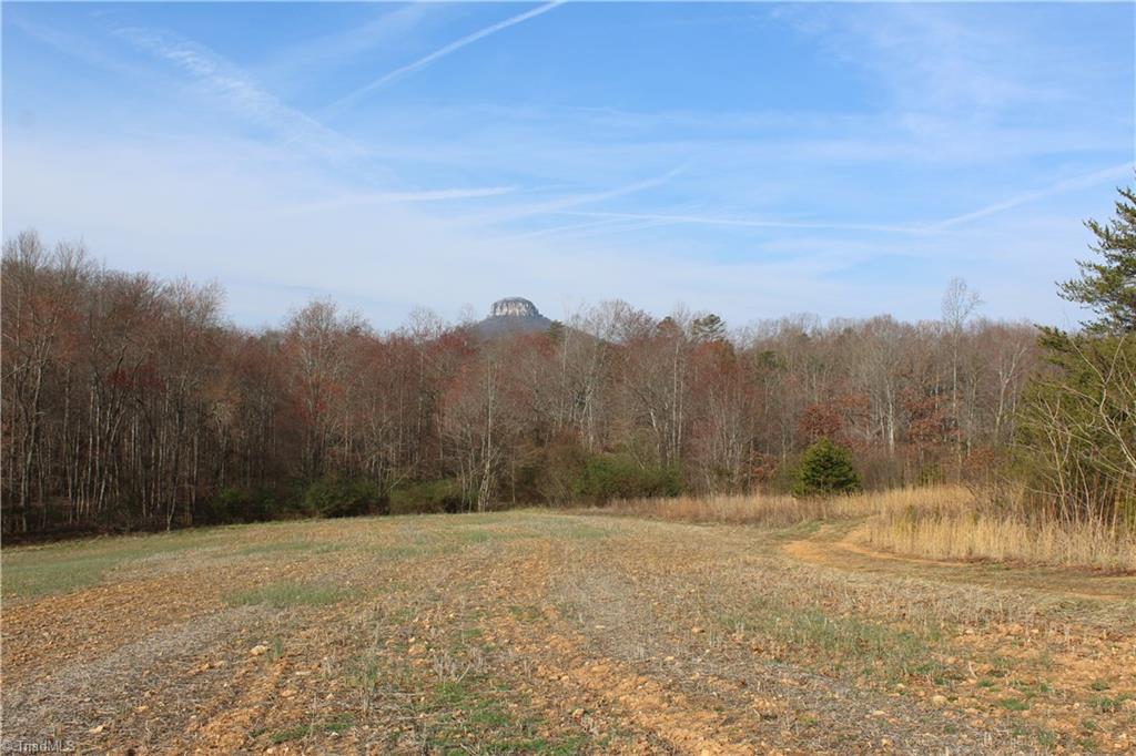 0 North Old 52 Road, Unit 16 3 Pinnacle, NC 27043 - Photo 8 of 14 Gallery Image 8