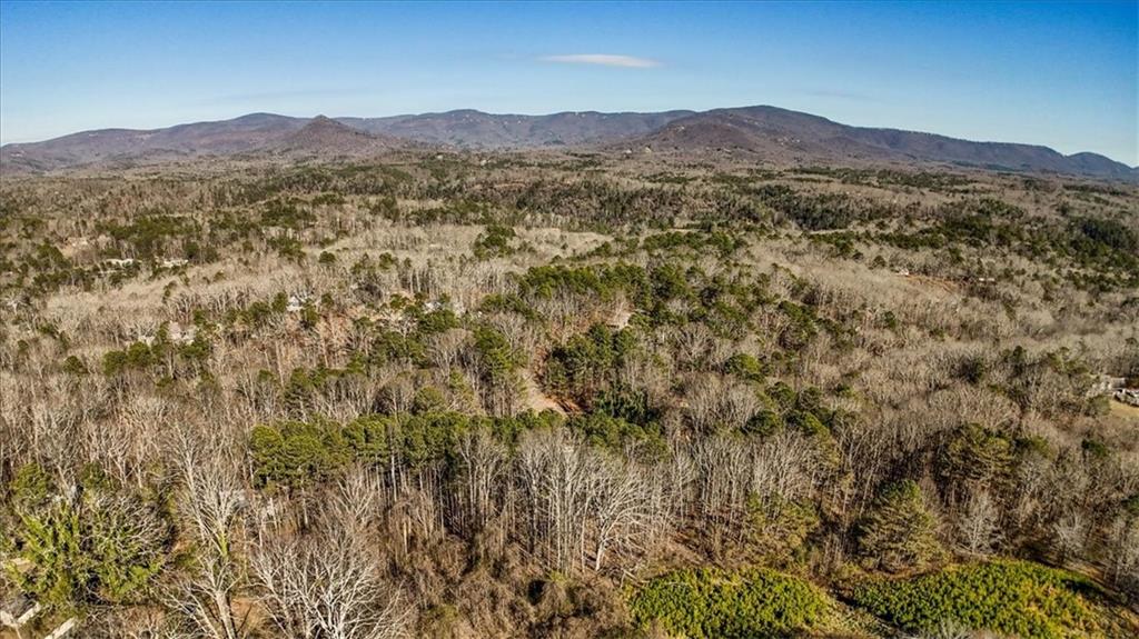 426 Old Cove Road South Jasper, GA 30143 - Photo 24 of 30