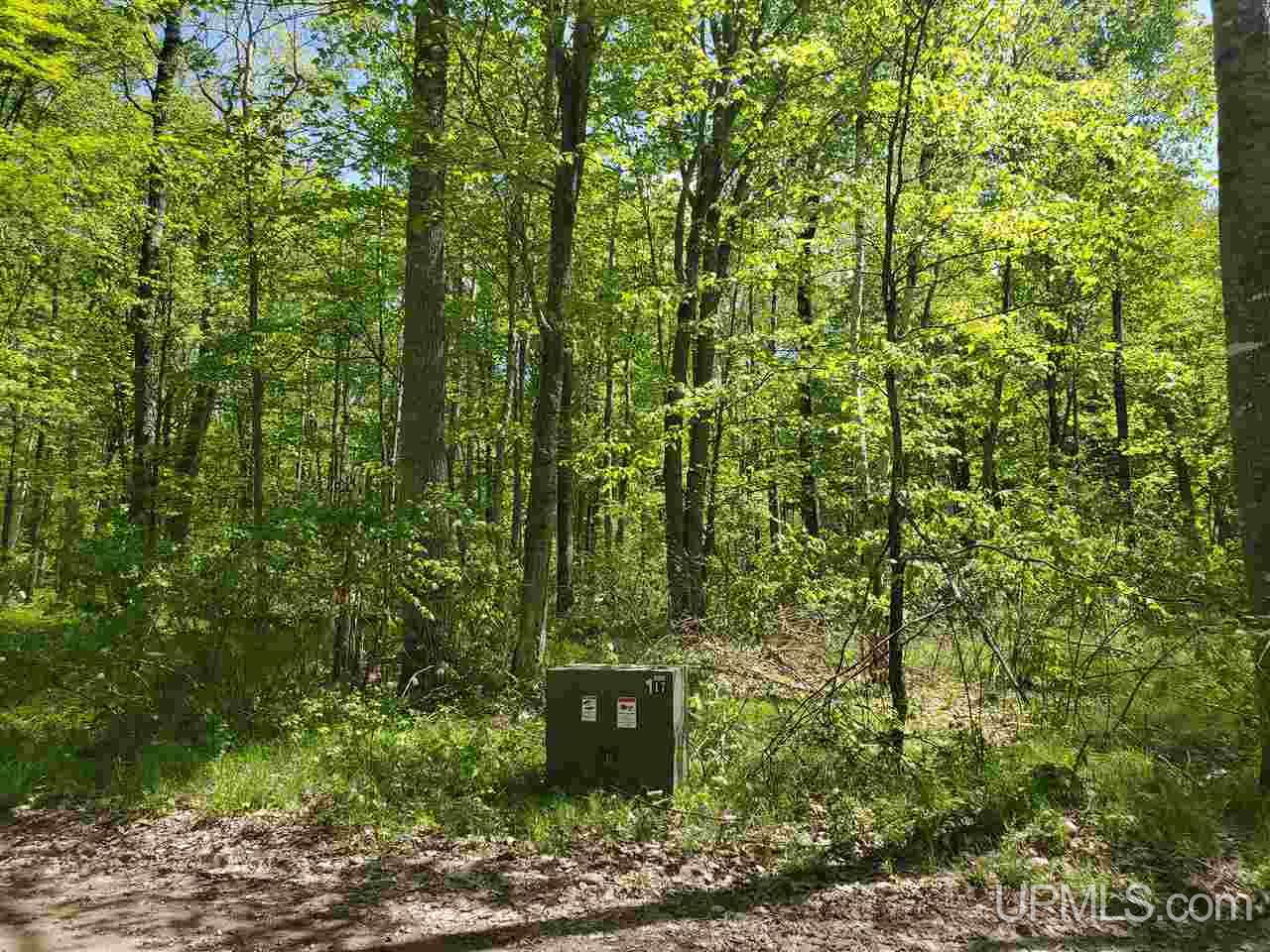 39.30-ac Armstrong Lake Road Crystal Falls, MI 49920 - Photo 2 of 24