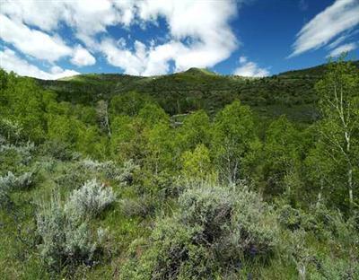 201 Eagle Crest Road Edwards, CO 81632 - Photo 5 of 10 Additional Photo