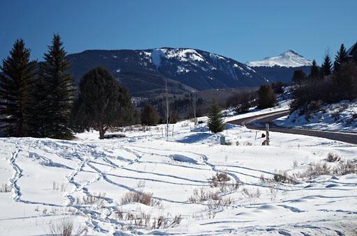 201 Eagle Crest Road Edwards, CO 81632 - Photo 6 of 10 Additional Photo