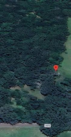 $141,900 | 0 County Road 1879, Yantis, TX 75497