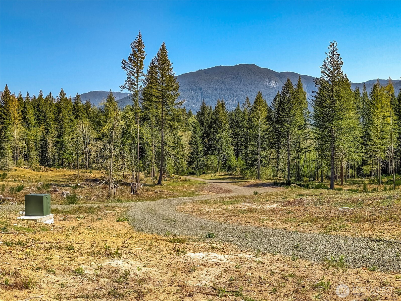 0 Craig Road, Unit LOT A1 Packwood, WA 98361 - Photo 8 of 13