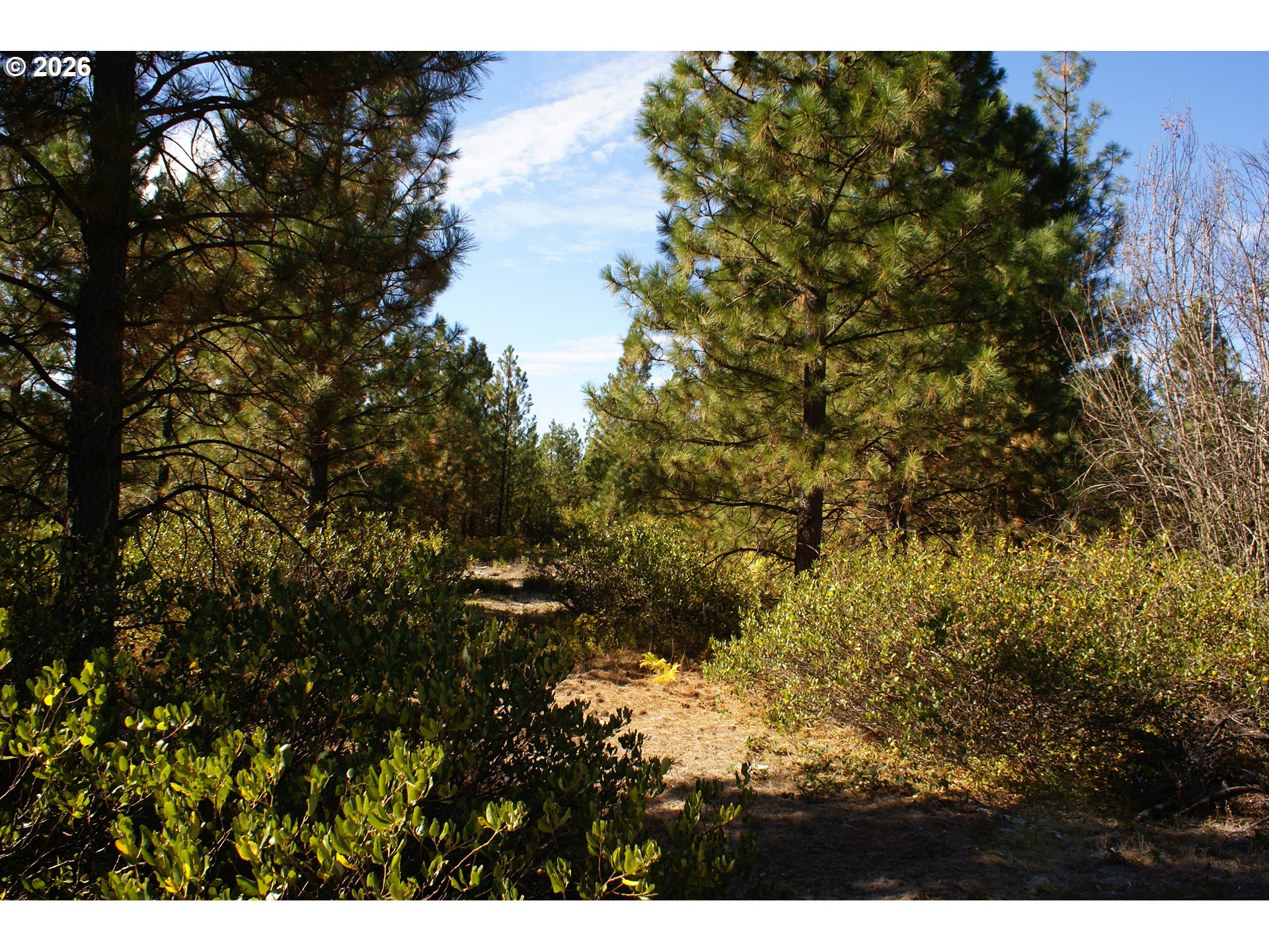 Cedar Valley Road Goldendale, WA 98620 - Photo 9 of 13 a view of outdoor space and tree