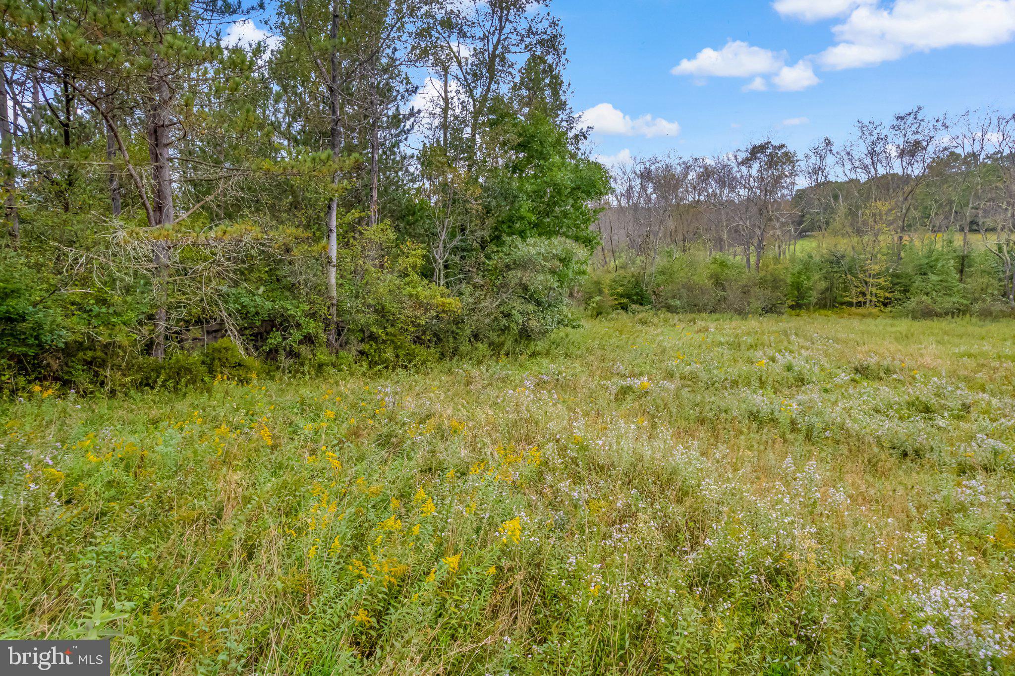 0 Calderwood Road Oakland, MD 21550 - Photo 25 of 38 Gallery Image 25