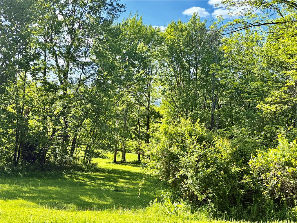 559 Mott Hill Road Edmeston, NY 13335 - Photo 36 of 40