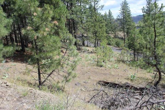 $79,900 | 836 1/2 Highway 2, Newport, WA 99156