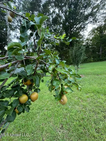 $354,000 | 10166 Patrick Drive, Gulfport, MS 39503