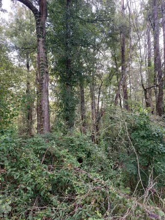 $399,900 | 0 Remington Road, Denham Springs, LA 70706