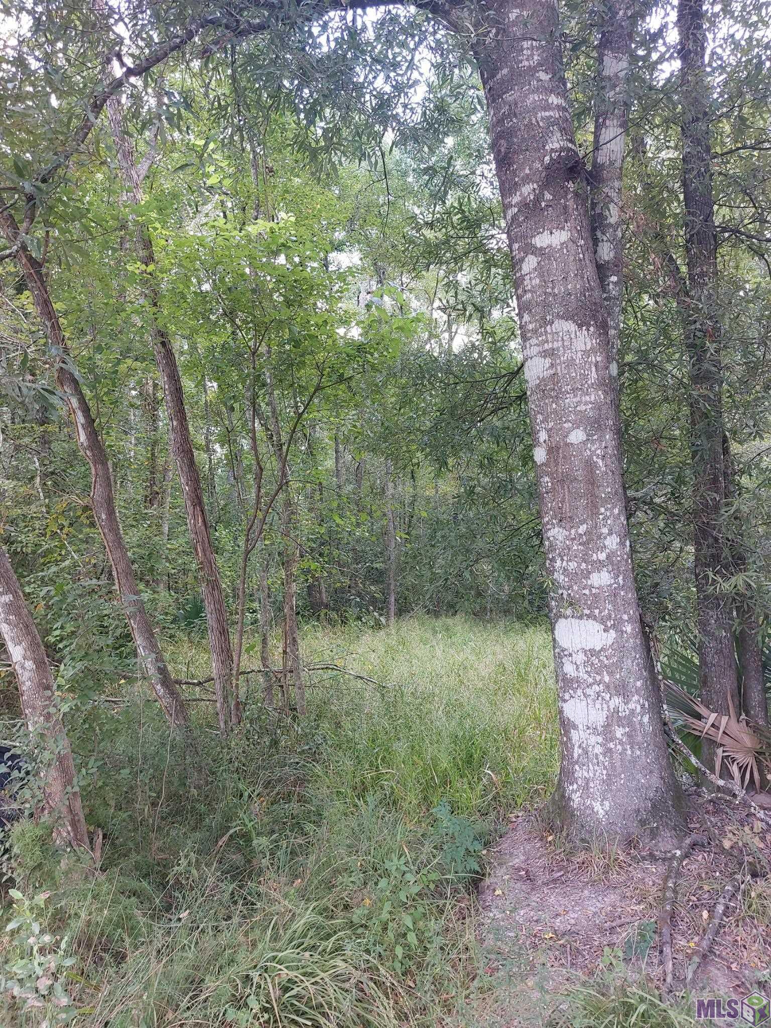 0 Remington Road Denham Springs, LA 70706 - Photo 2 of 5