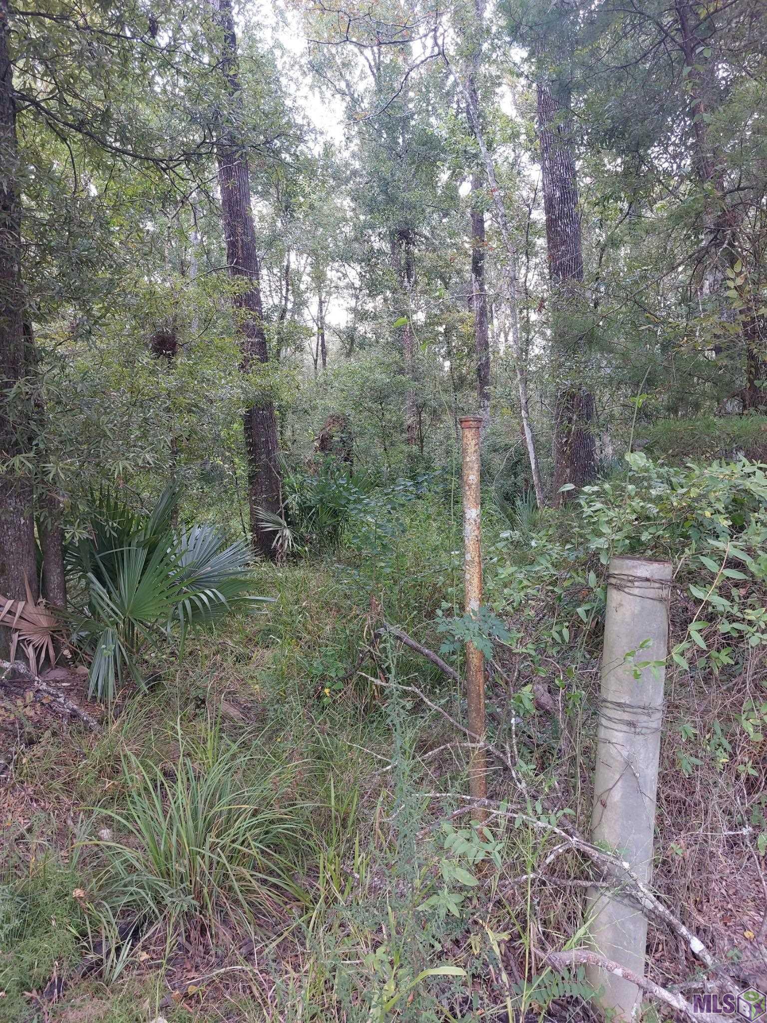 0 Remington Road Denham Springs, LA 70706 - Photo 3 of 5