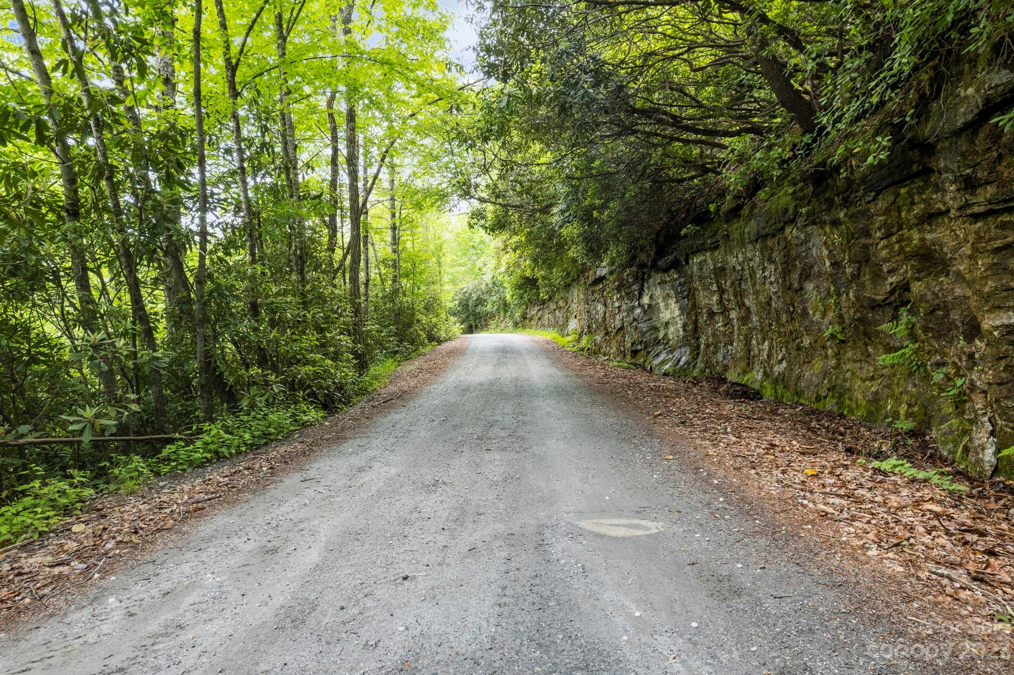 Tbd Vess Owens Road, Unit LOT 4B Tuckasegee, NC 28783 - Photo 11 of 18 a view of a dirt road with trees in the background