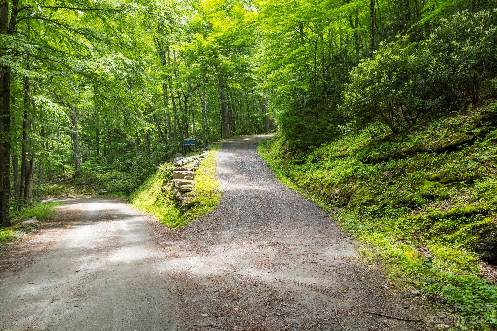 Tbd Vess Owens Road, Unit LOT 4B Tuckasegee, NC 28783 - Photo 13 of 18 a view of backyard with green space