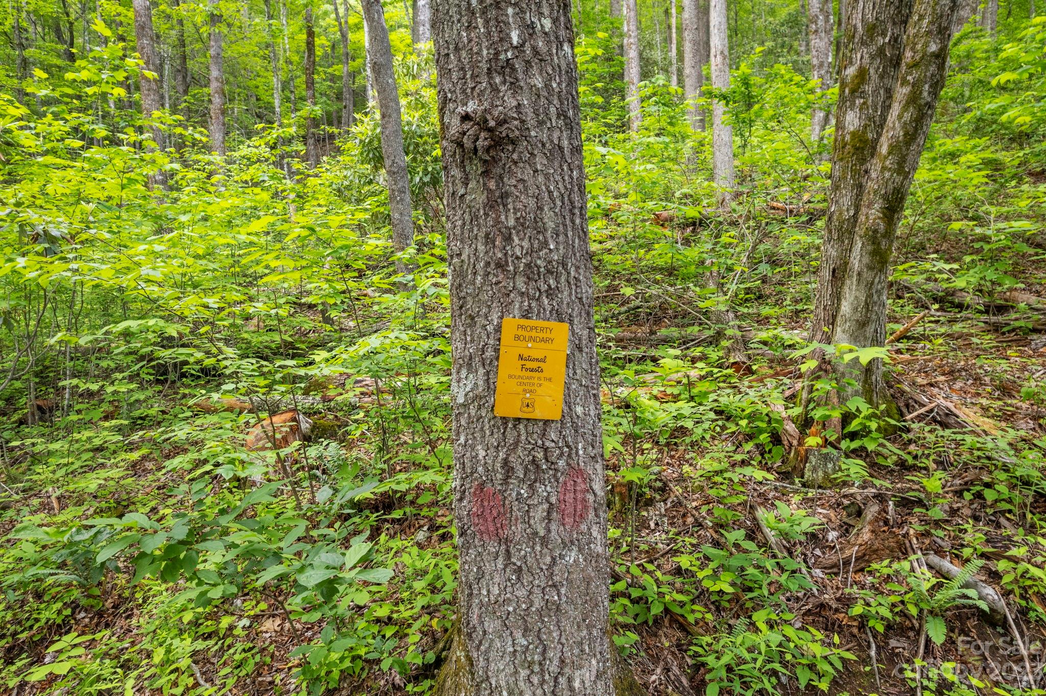 Tbd Vess Owens Road, Unit LOT 4B Tuckasegee, NC 28783 - Photo 14 of 18 a view of a garden