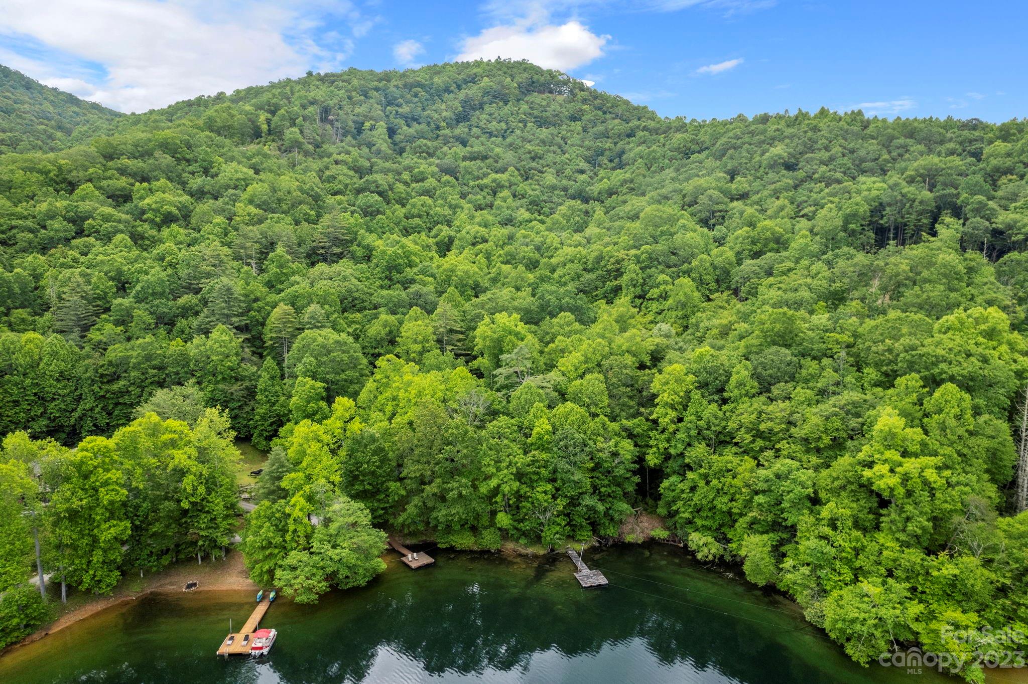 Tbd Vess Owens Road, Unit LOT 4B Tuckasegee, NC 28783 - Photo 16 of 18 a view of a garden