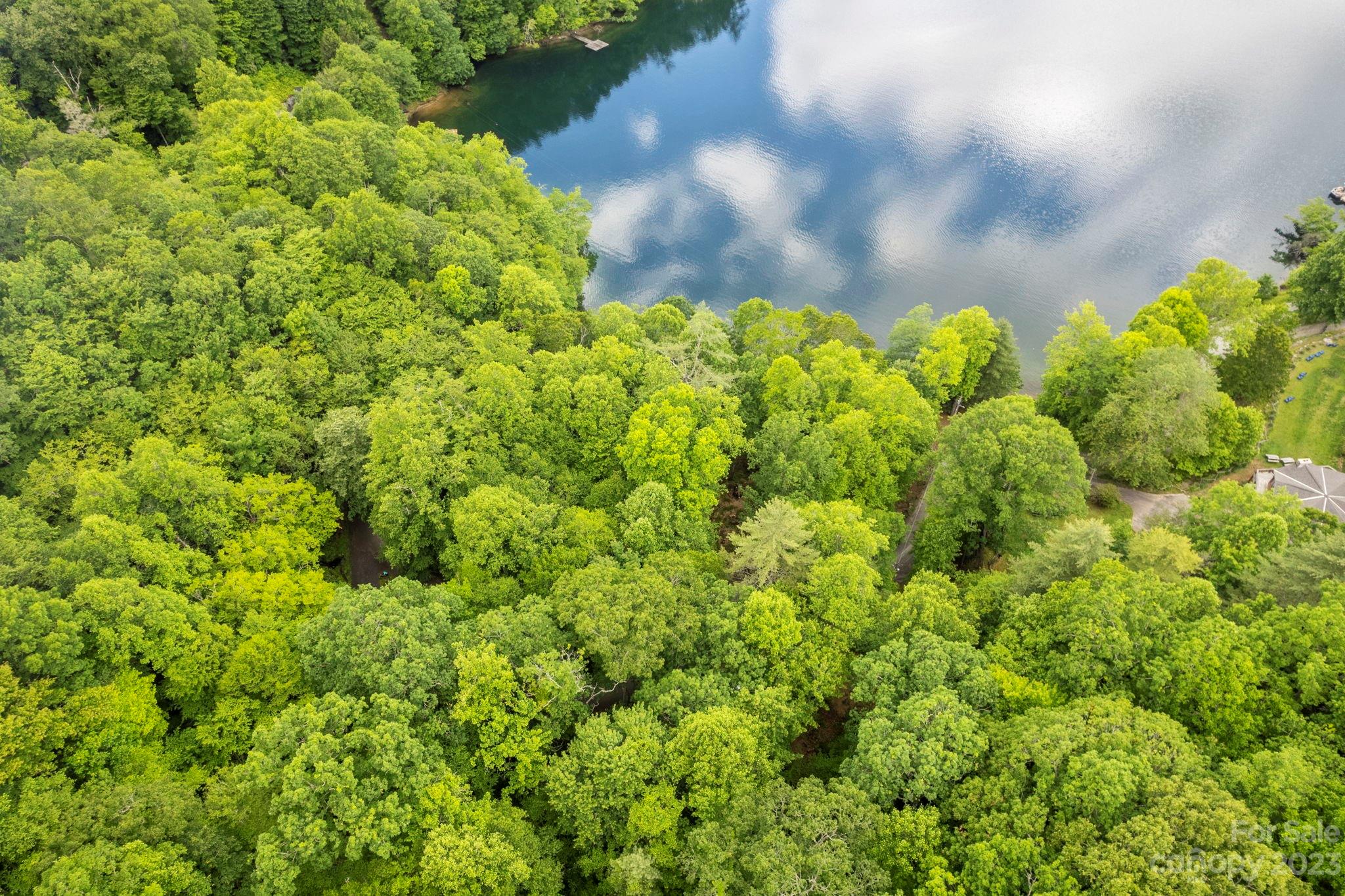 Tbd Vess Owens Road, Unit LOT 4B Tuckasegee, NC 28783 - Photo 17 of 18 a view of a garden