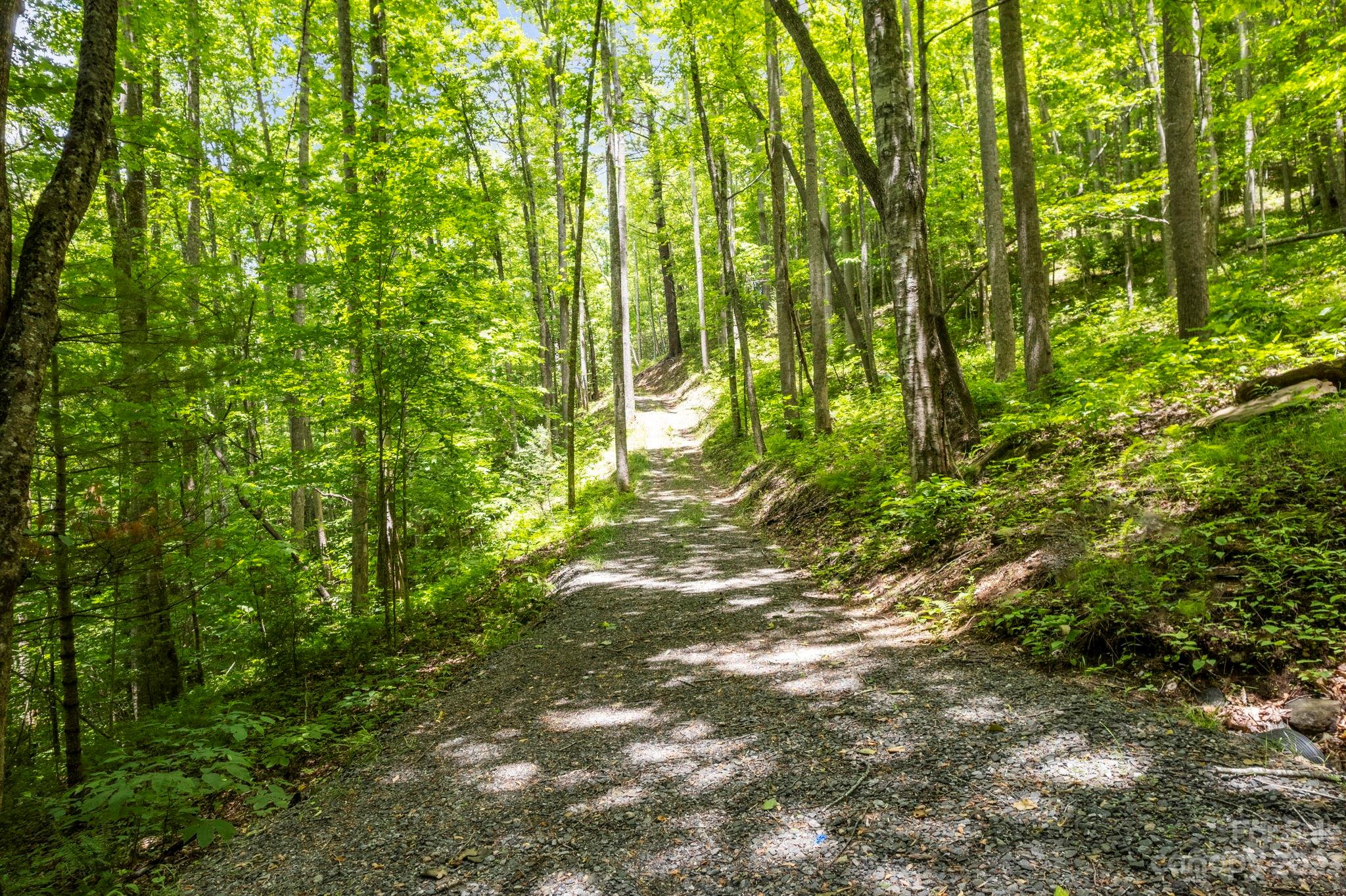 Tbd Vess Owens Road, Unit LOT 4B Tuckasegee, NC 28783 - Photo 9 of 18 a view of yard