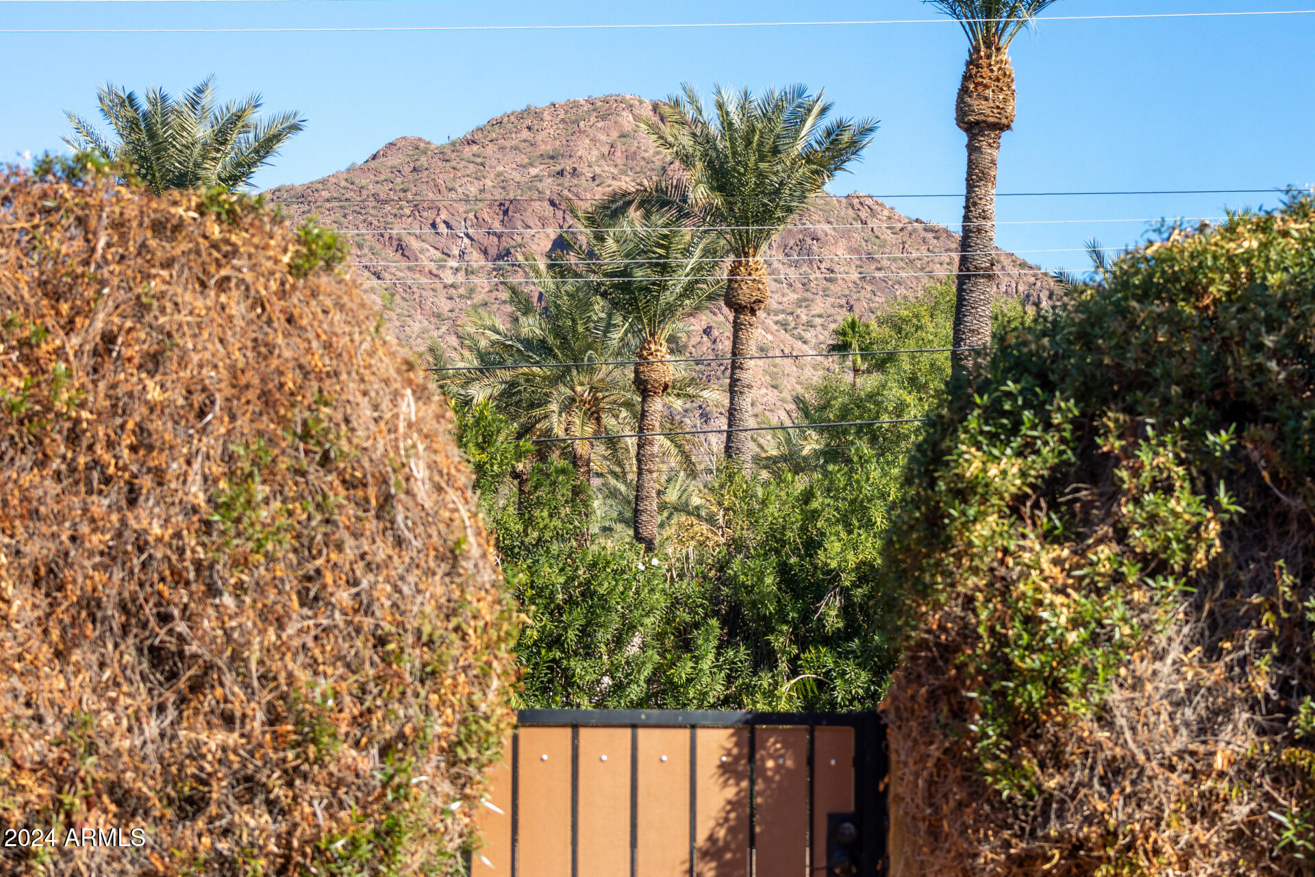 4620 East Montecito Avenue Phoenix, AZ 85018 - Photo 44 of 53 52 - Montecito