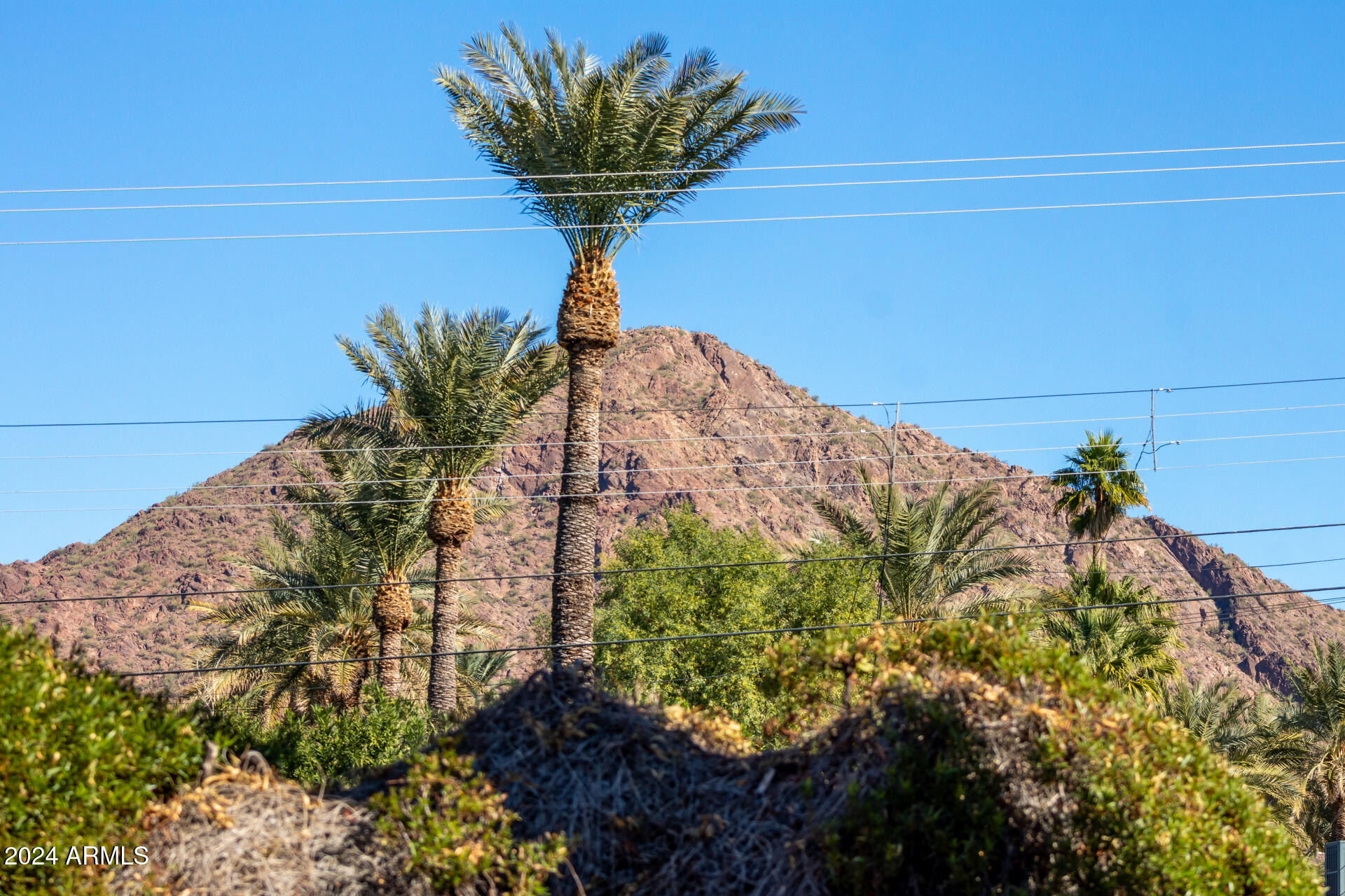 4620 East Montecito Avenue Phoenix, AZ 85018 - Photo 46 of 53 54 - Montecito