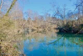 3602 Williams Mill Road Maryville, TN 37804 - Photo 1 of 17 Gallery Image 1
