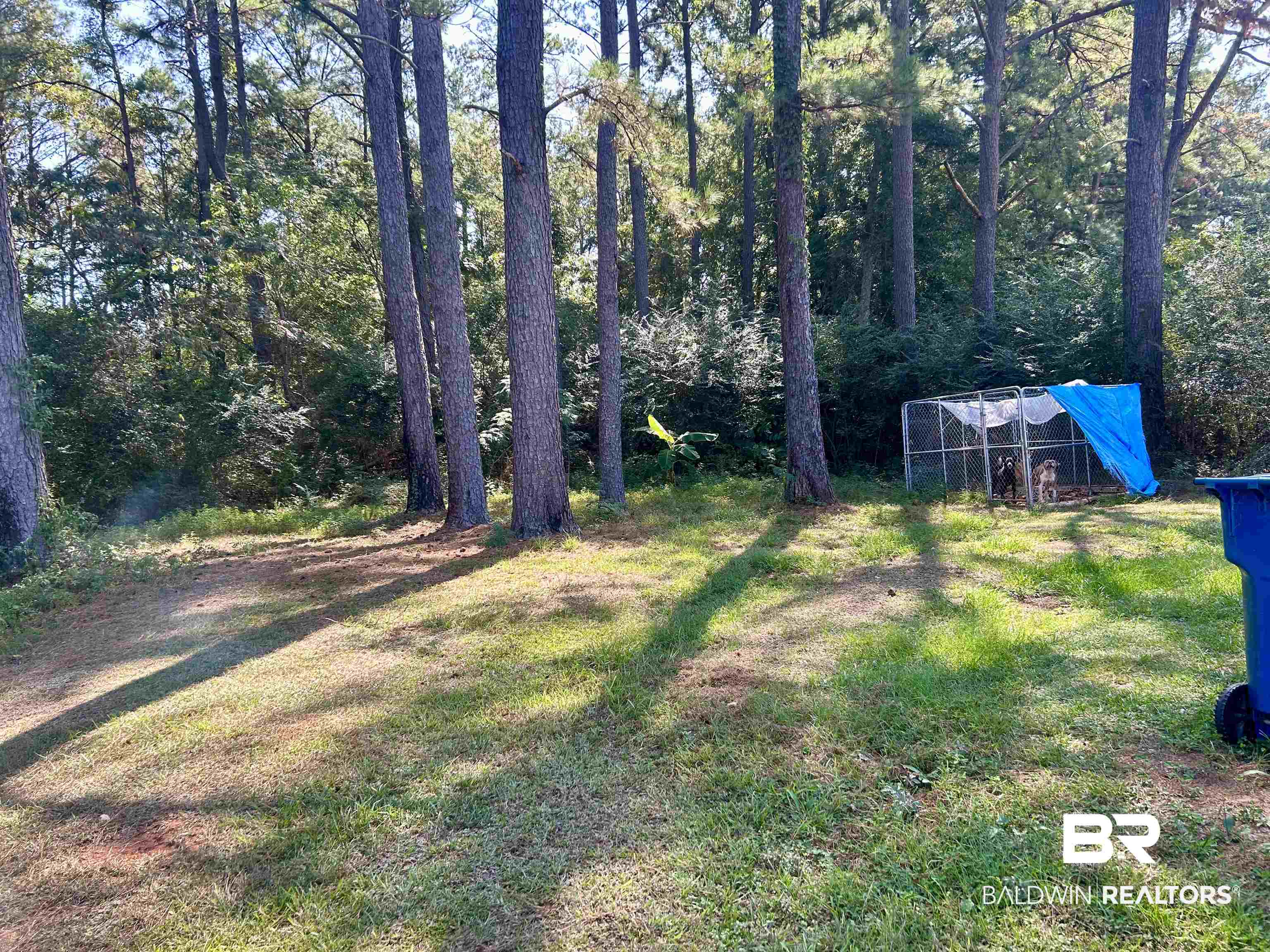 897 Adrian Avenue Monroeville, AL 36460 - Photo 16 of 16