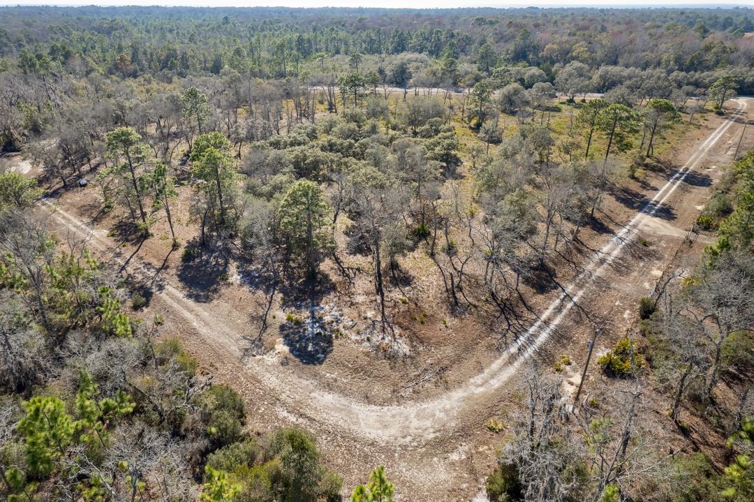 Vacant (7.72 Vacant (7.72 Beach Road Perry, FL 32348 - Photo 6 of 17 Gallery Image 6