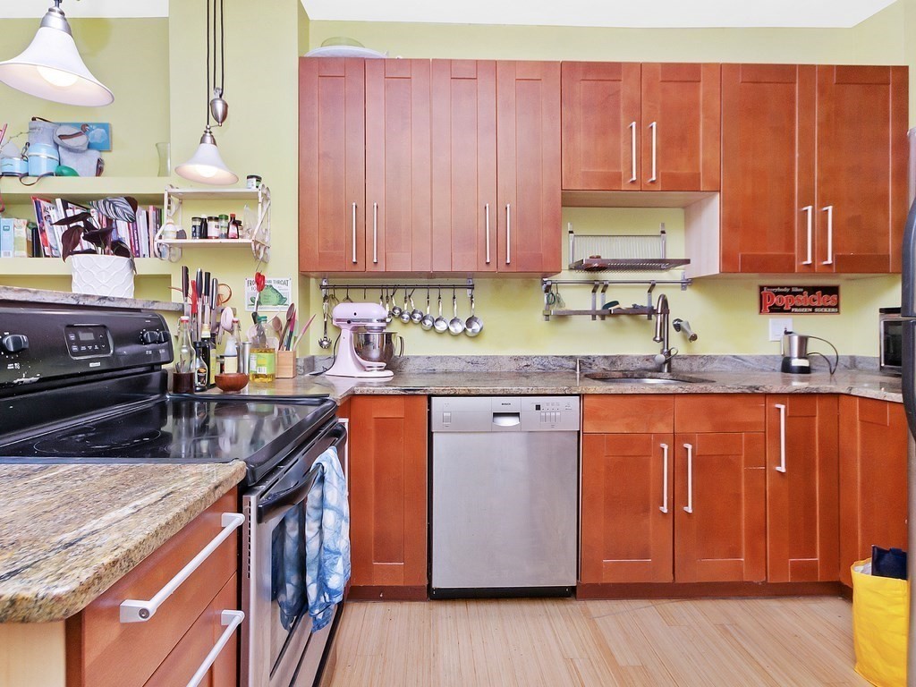 9 Mark Street, Unit 3 Boston, MA 02130 - Photo 4 of 18 Gallery Image 4