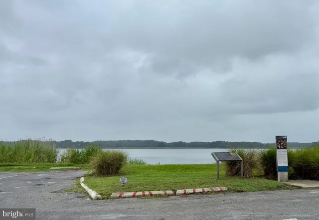 a view of a lake with a city