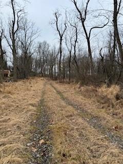 3337 Washington Pike Bridgeville, PA 15017 - Photo 2 of 5 a view of a yard with trees