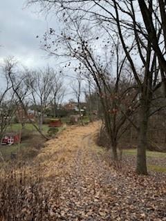 3337 Washington Pike Bridgeville, PA 15017 - Photo 3 of 5 a view of a yard with a tree