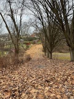 3337 Washington Pike Bridgeville, PA 15017 - Photo 4 of 5 a view of a yard with a tree