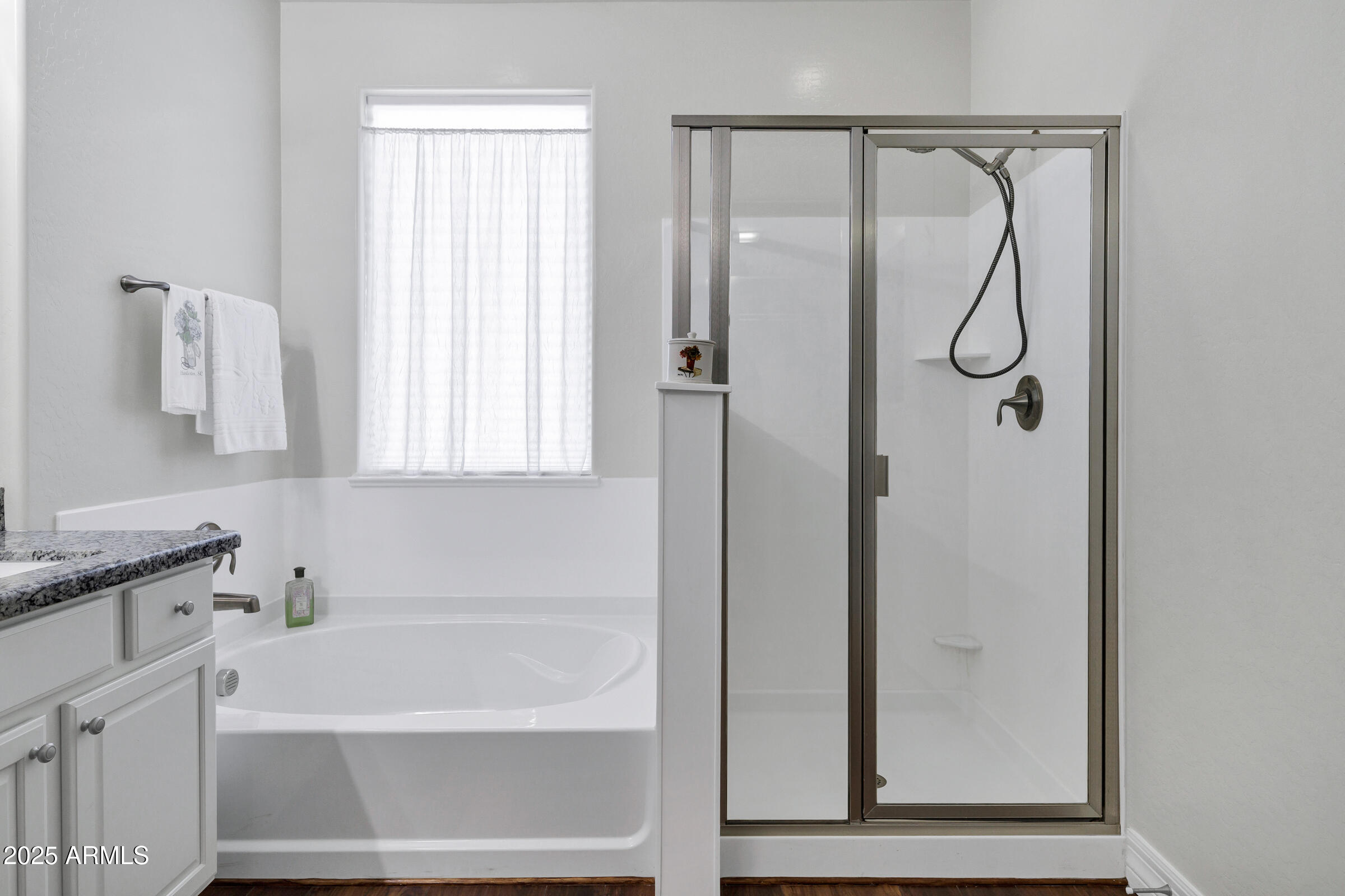 4410 South Intensity Mesa, AZ 85212 - Photo 24 of 28 a bathroom with a shower a mirror and a bathtub