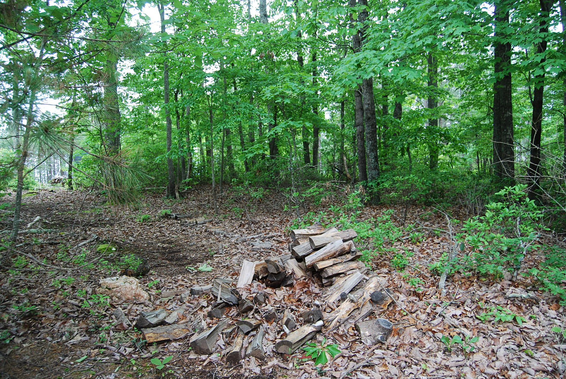 1024 Winter Ridge Trail Lynch Station, VA 24571 - Photo 20 of 46 DSC_0104