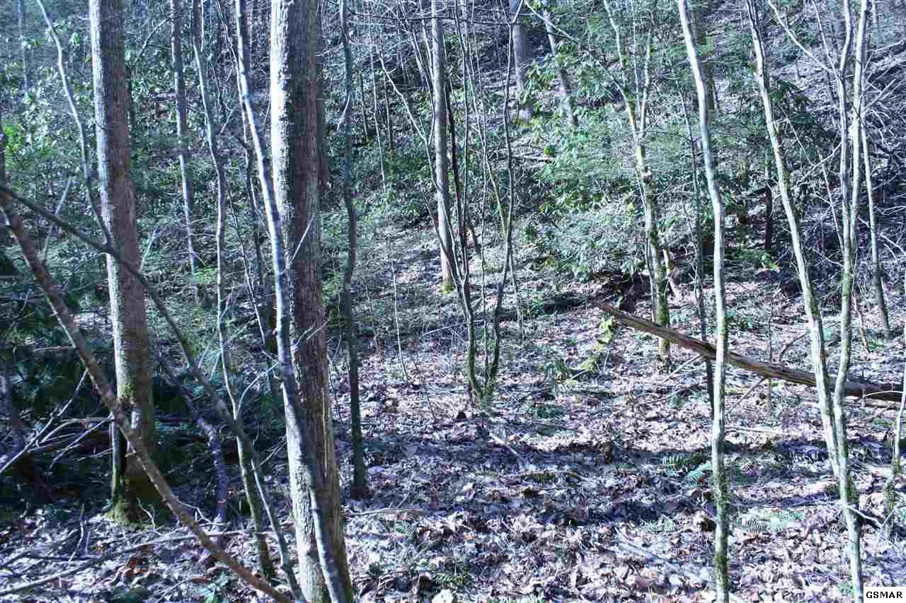 0 Ball Hollow Road Cosby, TN 37722 - Photo 30 of 36 Gallery Image 30