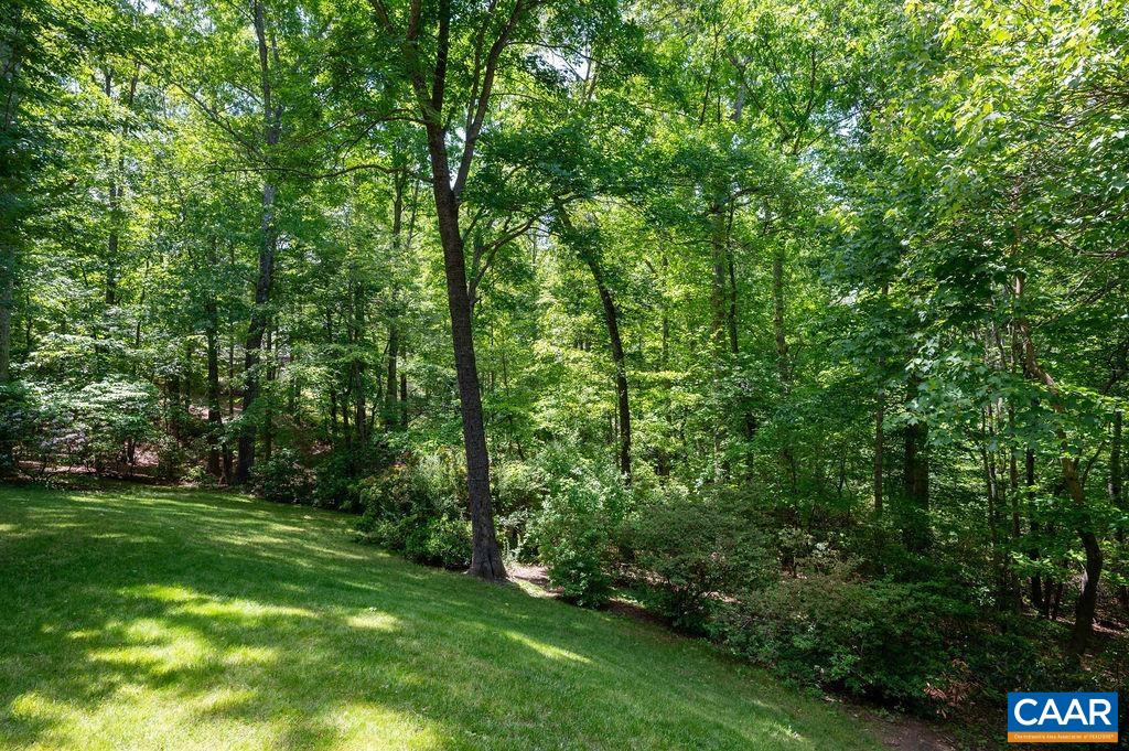 315 Terrell Road West Charlottesville, VA 22901 - Photo 41 of 52